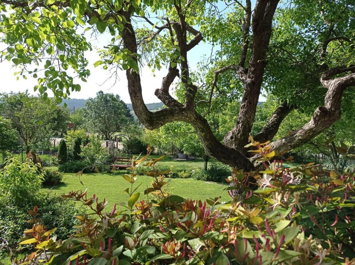 Villa Prolet General-Kantardzhievo Εξωτερικό φωτογραφία
